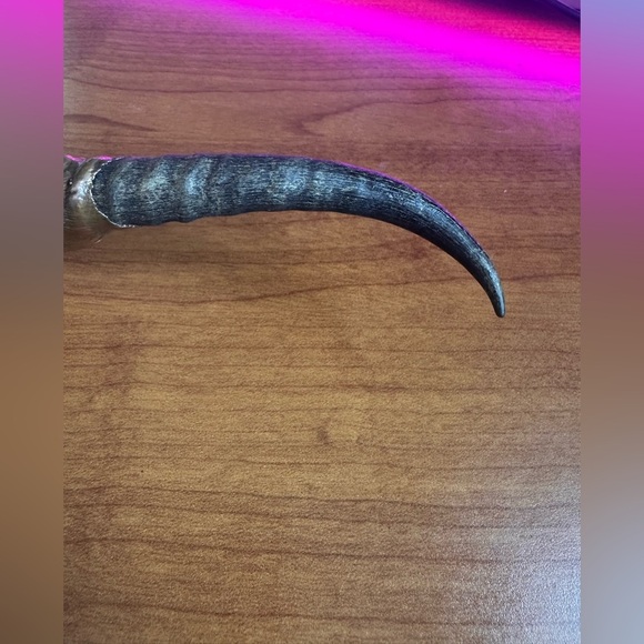 Stunning and Massive Crystal and Labradorite Copper Pendant with genuine Horn - Picture 8 of 8